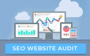 seo audit of your website